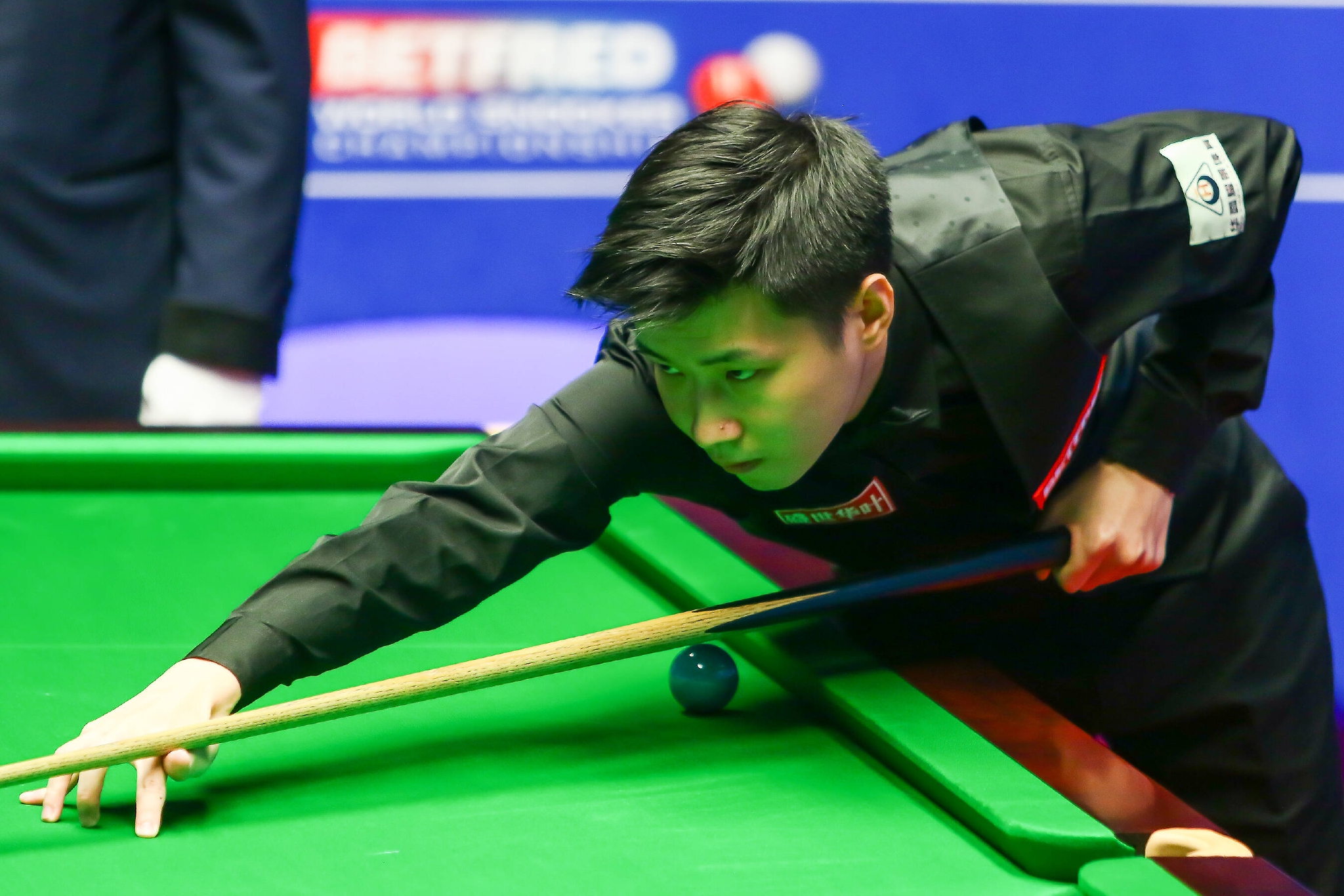 部分业内人 部分业内人